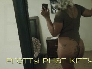 Pretty_phat_kitty