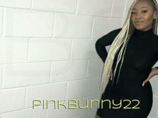 Pinkbunny22