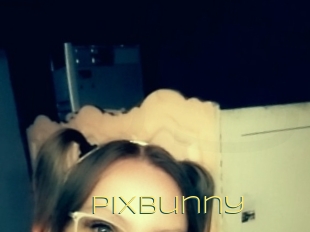 Pixbunny