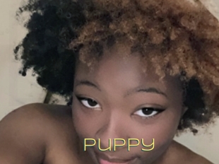 Puppy