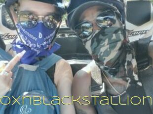 RussianfoxnBlackstallion