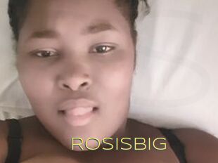 Rosisbig