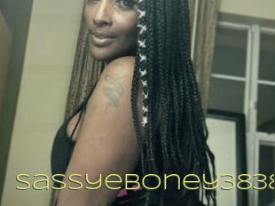 Sassyeboney3838