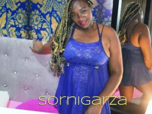 SorniGarza