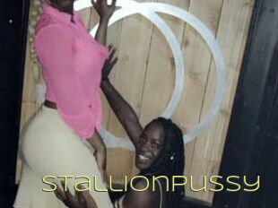 StallionPussy