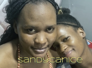 Sandycanice
