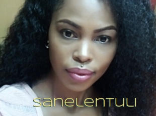 Sanelentuli