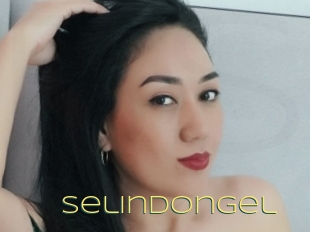 Selindongel