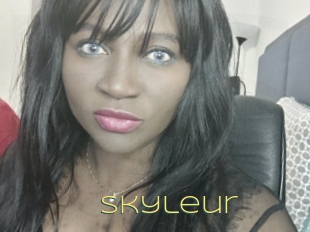 Skyleur