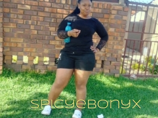 Spicyebonyx