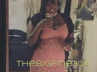 TheBigFine304