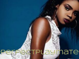 ThePerfectPlaymate