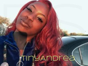 TinyAndrea