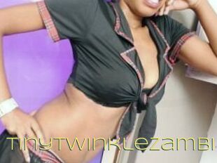 TinytwinkleZambia