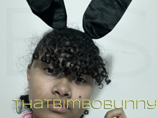 Thatbimbobunny