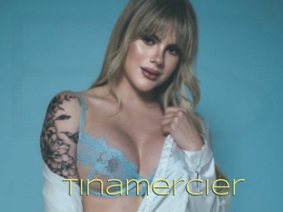 Tinamercier