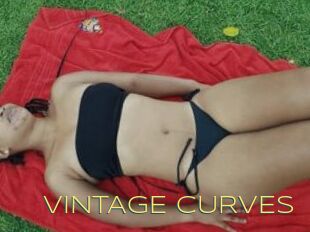 VINTAGE_CURVES