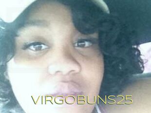 VIRGOBUNS25