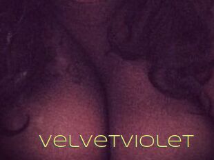 VelvetViolet