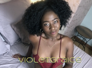 Violetgraice