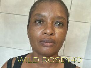 WILD_ROSEY40