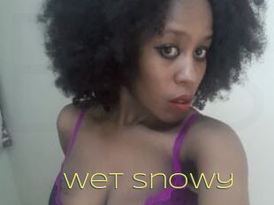 Wet_Snowy