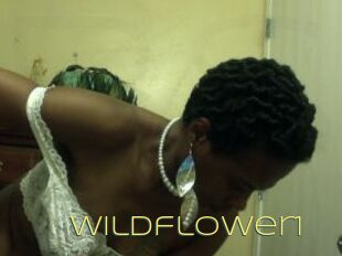 Wildflower1