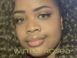 Winter_Rosea