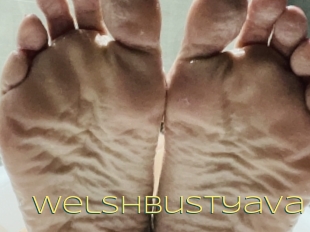 Welshbustyava
