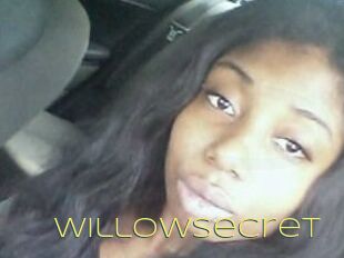 Willow_secret