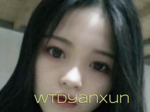 Wtdyanxun