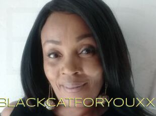 XBLACKCATFORYOUXX