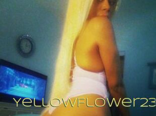 YellowFlower23