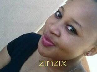 ZinziX