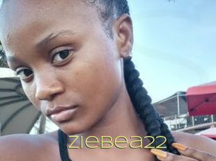 Ziebea22